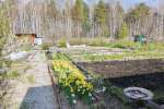 10 сот в СНТ Мираж Верхняя Пышма