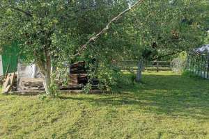 Объявление №46949 : 6,27 сот. в Екб, снт Прогресс-2