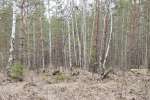 Участок в горах оз. Таватуй