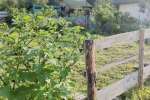 6d1febcf-4e41-4451-a43d-1594ff4ab085