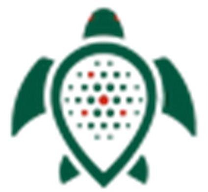 ООО «ТТ Смарт Групп»