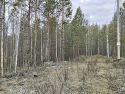 Лесной участок в горах оз. Таватуй